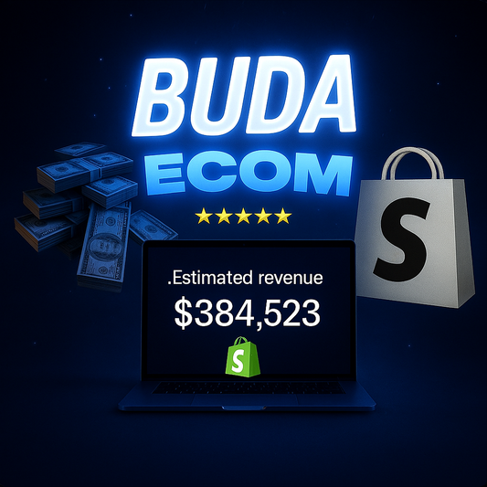 MY DROPSHIPPING STRATEGY (+High Converting Website Theme)